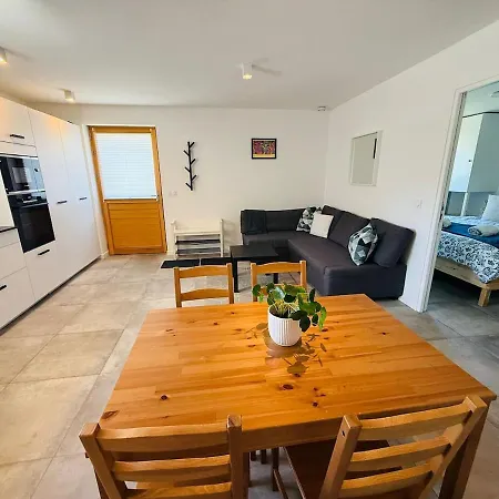 Holiday home Spacious Mont Blan Chamonix